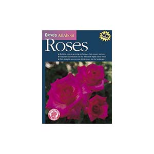 14-all-about-roses-u25183-fr