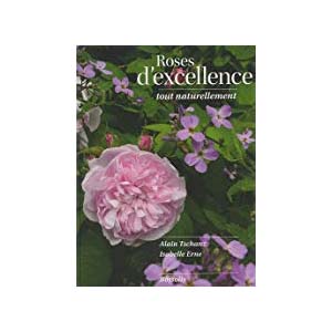 19-roses-d-excellence