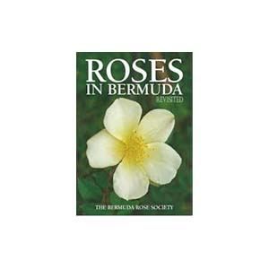 23-bermuda-u25397-fr