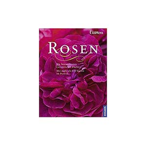 24-rosen-u25427-fr