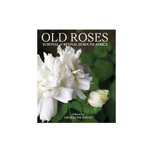 25-old-roses-white_large-u25437-fr