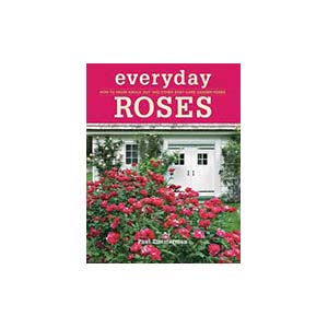 26-everyday-roses-u25443-fr