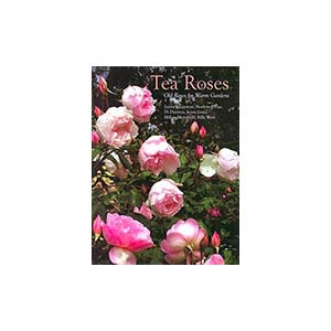 7-tea-roses-u25165-fr