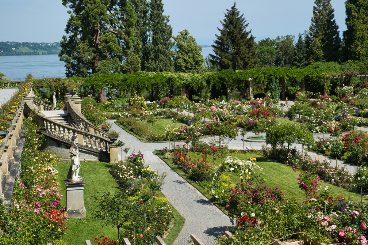 Mainau im Frühsommer, al klein (7) (1)