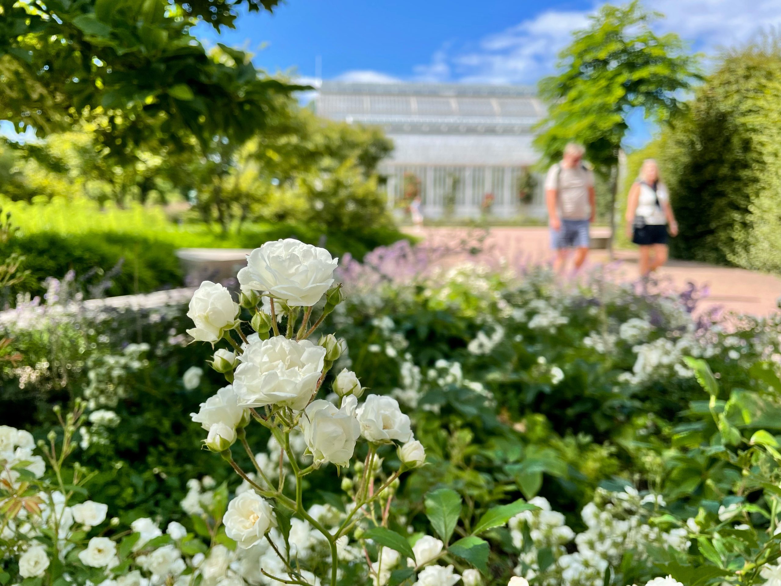 The Garden Society of Gothenburg